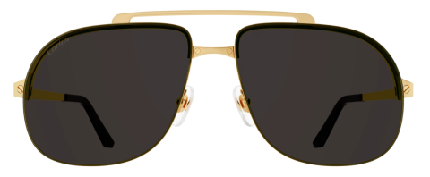 cartier ct0353s 001 güneş gözlüğü