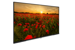 Arçelik A43K 690 HOTEL TV LED TV