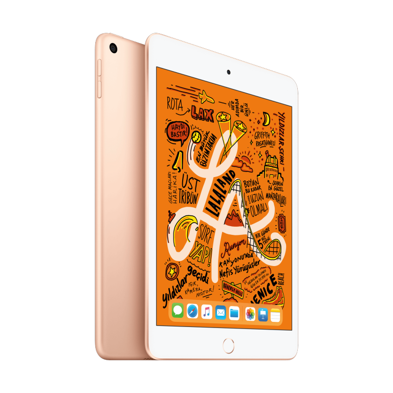 iPad mini Wi-Fi 64GB Gold Tablet