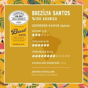Caffe Corsini Brezilya Santos %100 Arabica Çekirdek Kahve 250GR