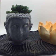 Lotus Çiçeği ve Buddha