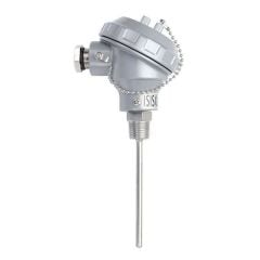 TRPT-231-6-250-1/2 - 250 mm PT-100 Head Type Thermocouple