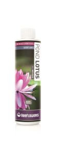 POND LOTUS - ALL INCLUSİVE 500 ML