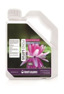 POND LOTUS - ALL INCLUSİVE 3000 ML