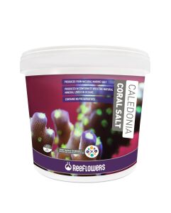 CALEDONİA CORAL SALT 22,5 KG