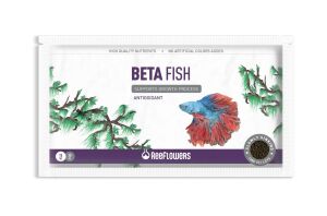 BETTA FİSH 15GR X 24