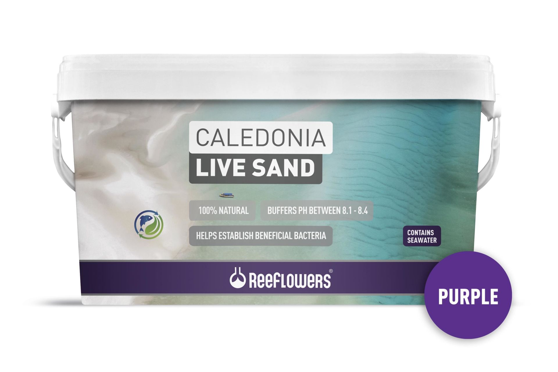 CALEDONİA LİVE SAND - PURPLE 18 KG