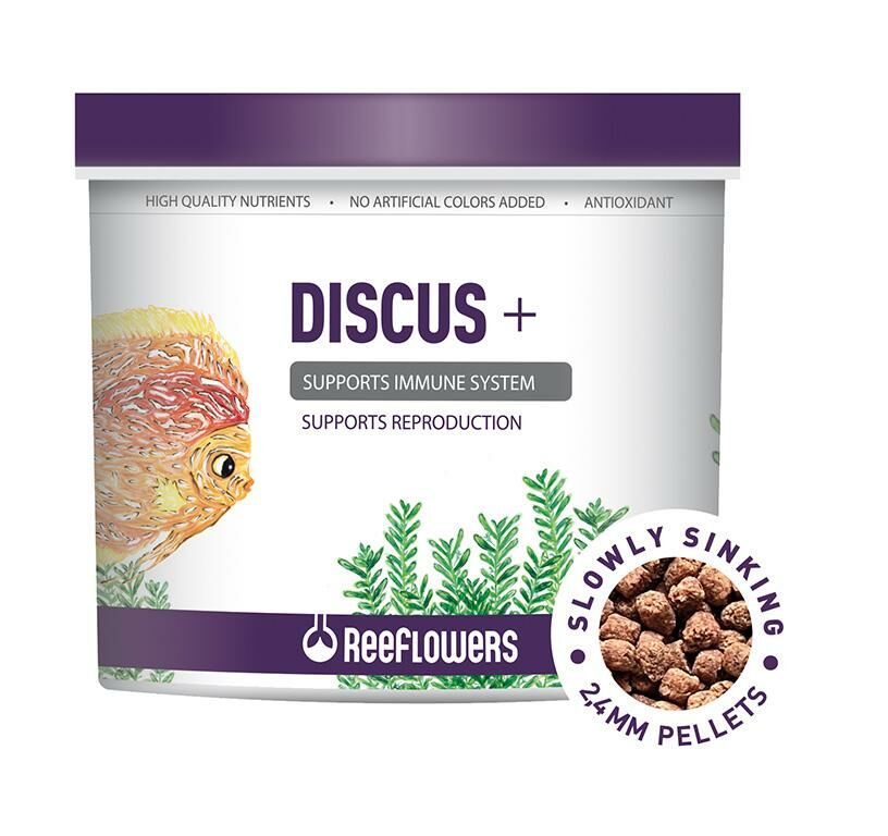 DİSCUS PELLET 2,4 MM 250 ML