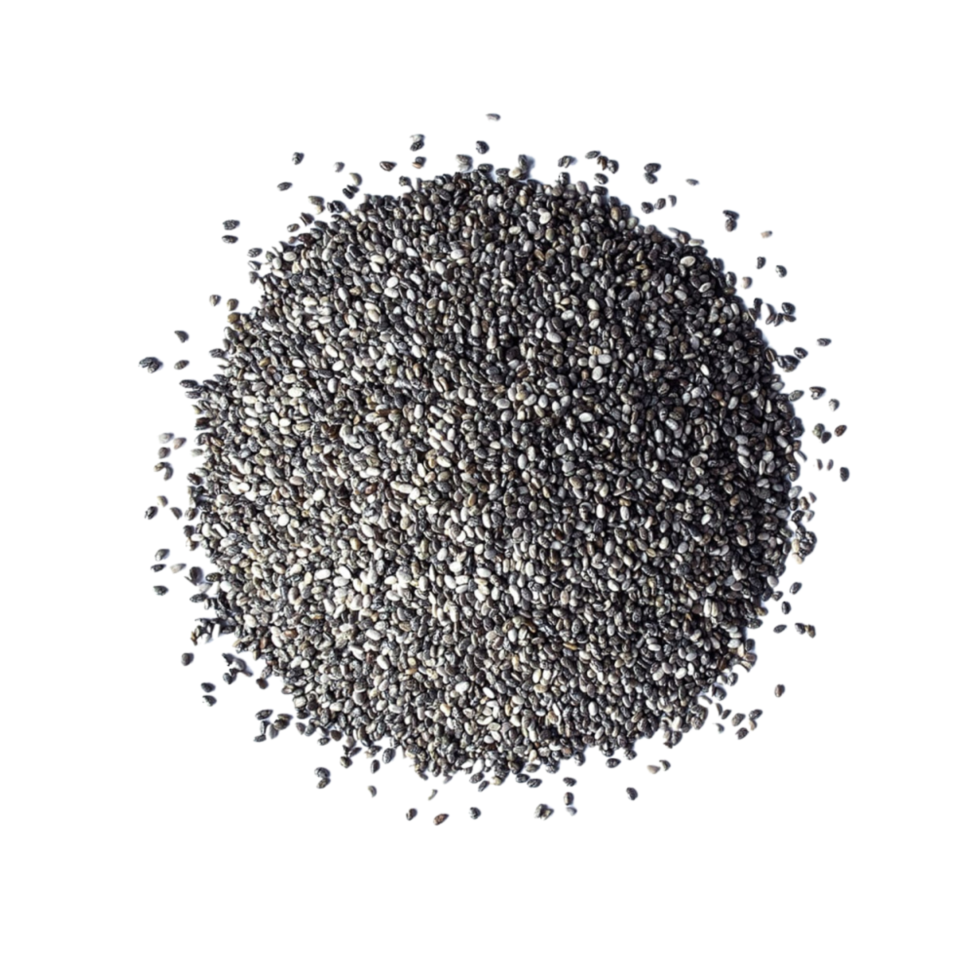 CHIA TOHUMU