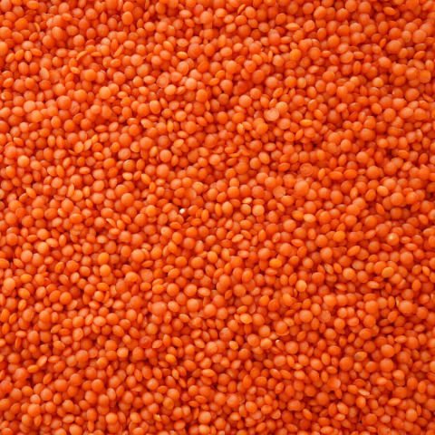 HASATA  Kırmızı Mercimek Mardin
