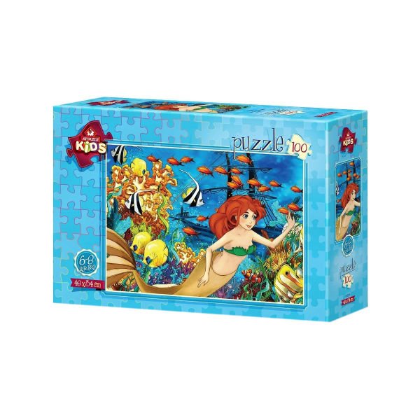 Batık Gemi 100 Parça Art Puzzle