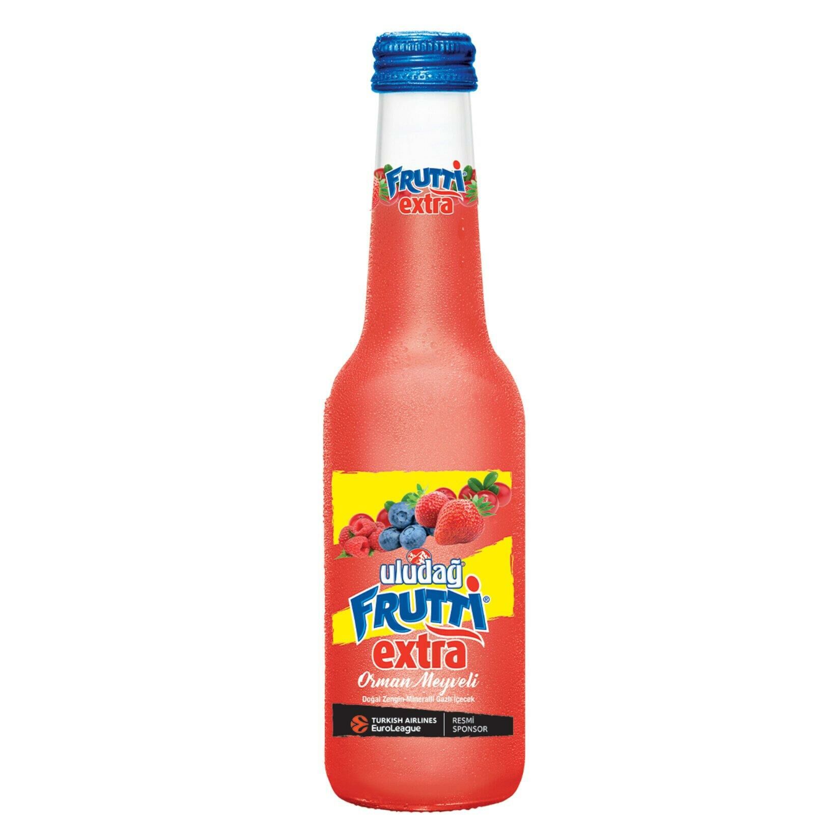 ULUDAĞ FRUTTİ EXT.ORM.MEYVELİ 250ML*24