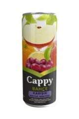 CAPPY 330 KUTU KARIŞIK*12