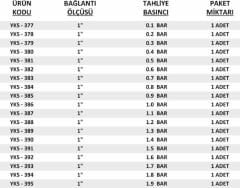 1'' YKS Emniyet Ventili Düşük Basınç 0.1 / 1.9 Bar Arası Sabit Basınçlı Mühürlü
