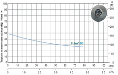 PJm100E - EJM100 Jet Pompa 1 HP - 0,75 KW 220 Volt Su Pompası 45 mss, 60 L/Dk