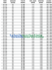 3/4'' 42 BAR Sabit Basınçlı Mühürlü CE Belgeli Emniyet Ventili YKS-657