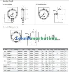 Ø100mm 0-65 kN (0-252 Bar) Panotip Arkadan Bağlantılı Gliserinli, Sıvı Dolgulu G1/2'' Manometre, Kilonewton Göstergesi CL2,5 PAKKENS