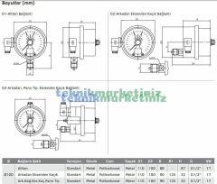 Ø100mm 0/25 Bar Alttan Bağlantılı TEK Elektrik Kontaklı Hassas Manometre, Basınç Ölçer IP65 Kurutip G1/2'' CL1,0 PAKKENS
