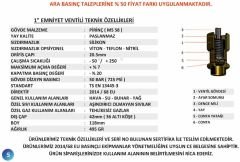 1'' Sabit Basınçlı Mühürlü YKS Emniyet Ventilleri 2 / 20 Bar Arası (Kompresör Emniyet Ventili)