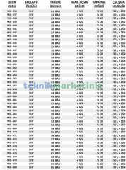 3/4'' 25 BAR Sabit Basınçlı Mühürlü CE Belgeli Emniyet Ventili YKS-640