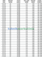 3/4'' 35 BAR Sabit Basınçlı Mühürlü CE Belgeli Emniyet Ventili YKS-650