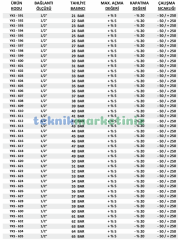 1/2'' 30 BAR Sabit Basınçlı Mühürlü CE Belgeli Emniyet Ventili YKS-600