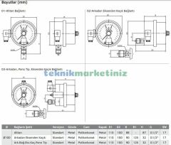 Ø100mm 0/25 Bar Alttan Bağlantılı ÇİFT Elektrik Kontaklı Hassas Manometre, Basınç Ölçer IP65 Kurutip G1/2'' CL1,0 PAKKENS