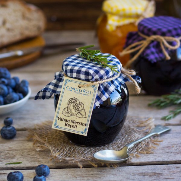 Invalid use of alt Image variable