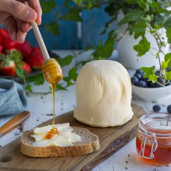 Invalid use of alt Image variable