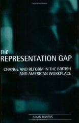 Representation Gap