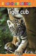 Tiger Cub: Orange Reading Level No. 6