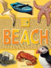 What Can I See?: Beach