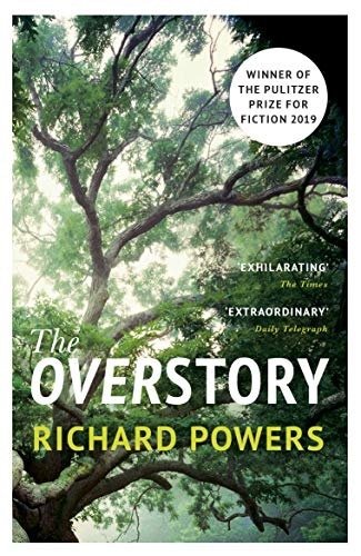 Overstory