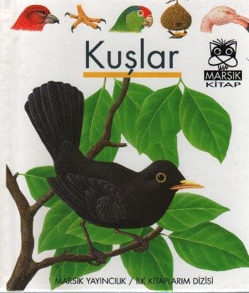 Kuşlar