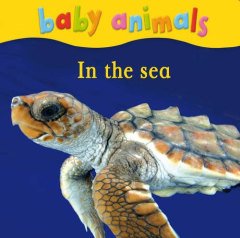 Baby Animals: In the Sea