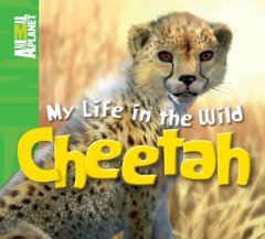 Animal Planet My Life in the Wild: Cheetah