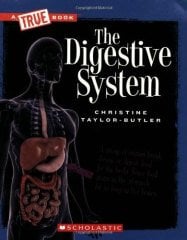 Digestive System