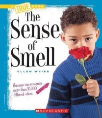 Sense of Smell