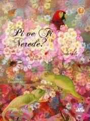 Pi ve Fi Nerede?