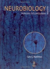 Neurobiology: Molecules, Cells and Systems