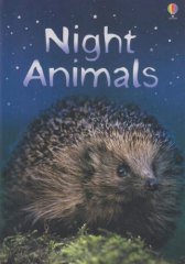 Night Animals