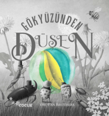 Gökyüzünden Düşen