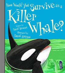 How Would You Survive As A Killer Whale?