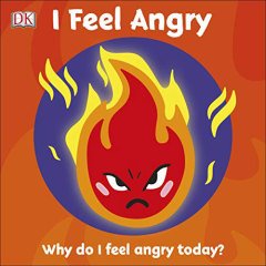 I Feel Angry: Why do I feel angry today?