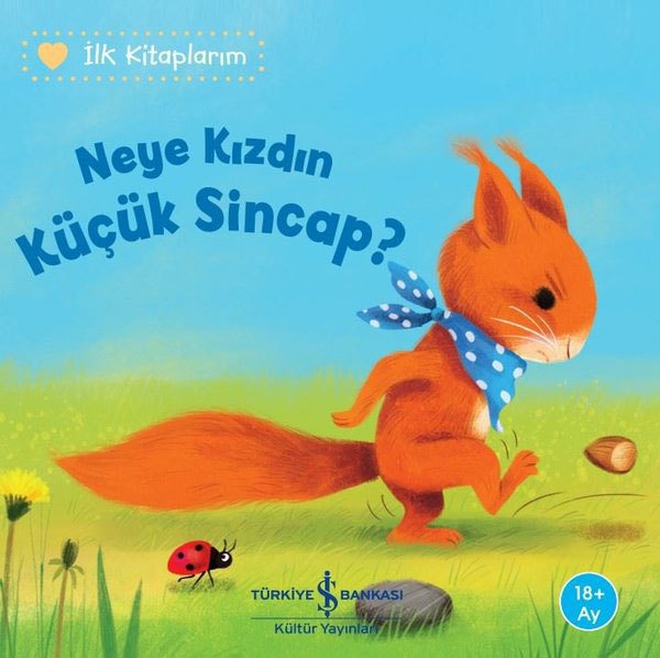 Neye Kızdın Küçük Sincap? – İlk Kitaplarım