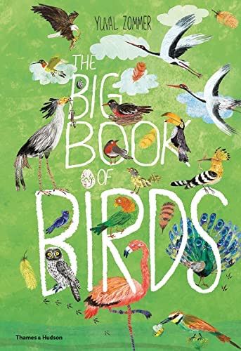 Big Book of Birds