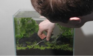 Karbon Kaplama Yaylı ve Eğimli Bitki Makası - 20 cm