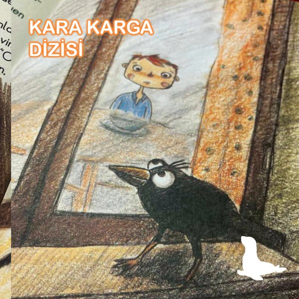 KARA KARGA DİZİSİ (9 KİTAP)