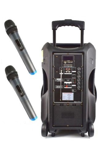 Osawa Osw-9135 Taşınabilir Portatif Seyyar Ses Sistemi 150 Watt 38 cm