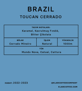 Toucan Cerrado